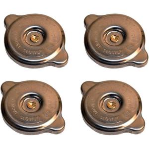 imageMytee Products Radiator Cap Replaces OEM RC1040 2Pack4  Pack