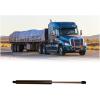 imageTruck Hood ShockBlack Fits Freightliner M2106 Class Replaces OEM A1714297000 Automann A99297 ATMA992971 Pack