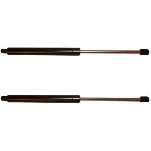 imageTruck Hood ShockBlack Fits Freightliner M2106 Class Replaces OEM A1714297000 Automann A99297 ATMA992972 Pack