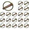 imageAgraLink 316quot 20 Pcs Carbon Steel Lynch Pin Clamshell Box of 4 Pcs Spring Clips Linchpin for Boat Bike Tractor and Trailer Hitch Lock2  Pack