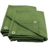 imageMytee Products 2 Pack 6 x 8 Green Canvas Tarp 12oz Heavy Duty Water ResistantGreen 2 Pcs
