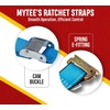 image:imageMytee Products 2x16 Logistic ETrack Cam Buckle Straps with Spring EFittings  2500 lbs Breaking Strength  Cam Buckle Cargo Load Straps for Enclosed Semi Trailers Box Trucks2 x 20
