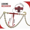 image:imageMytee Products 516  38 Heavy Duty Ratchet Lever Load Chain Binder wGrab Hook one Side 12 Slip Hook on Other 6600 Lbs Working Load Limit2  Pack